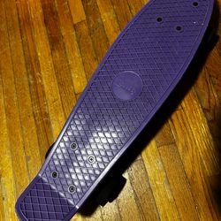 Penny Board skateboard