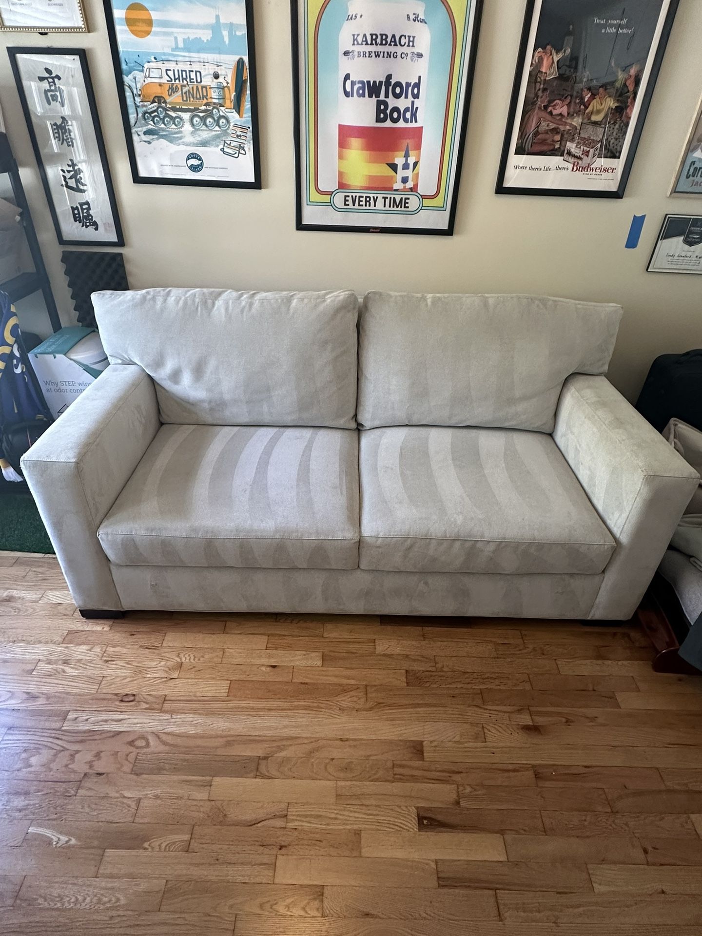 Crate and Barrel pull-out Sleeper sofa