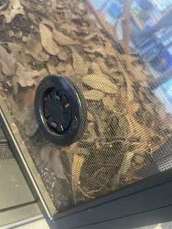 100 gallon, all mesh tank