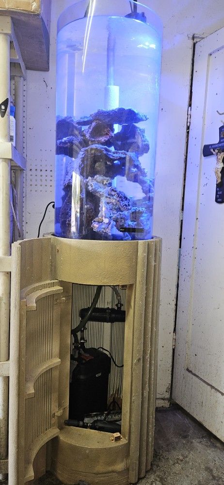Fish Tank