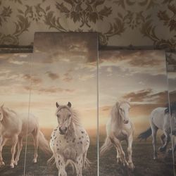 5 Piece Canvas Horse Art 