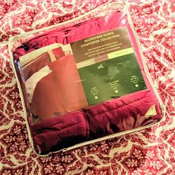 Down Comforter