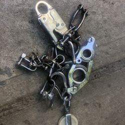 Stainless Steel Shackles