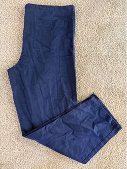 Silver Lining Scrub pants
