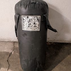 Punching Bag (40lb)