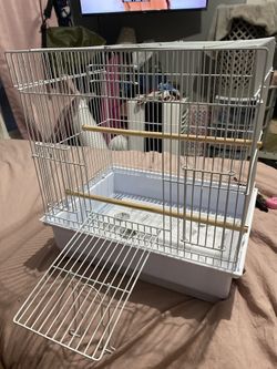 Bird Cage For Small Bird