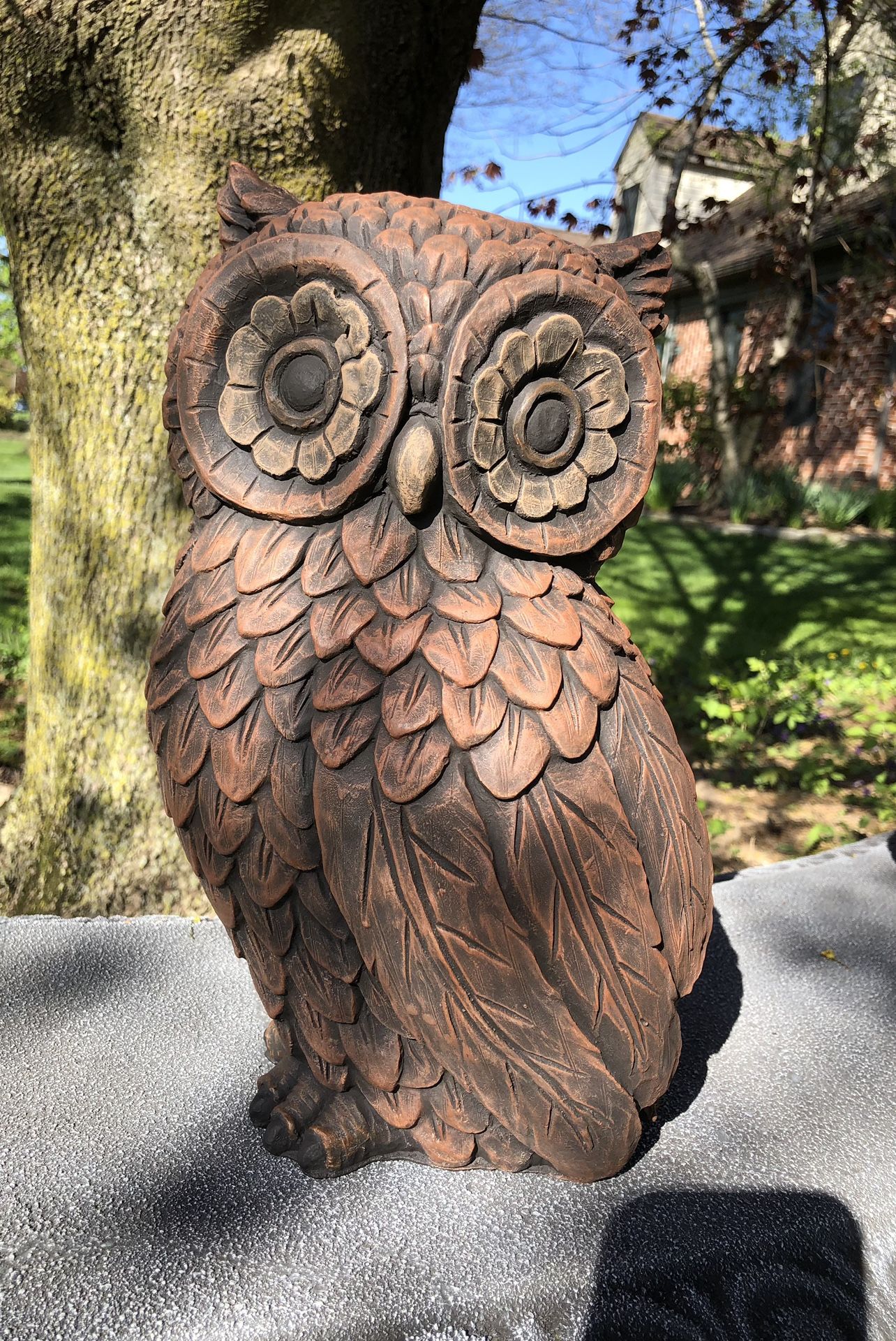 Concrete Owl - Wood Look