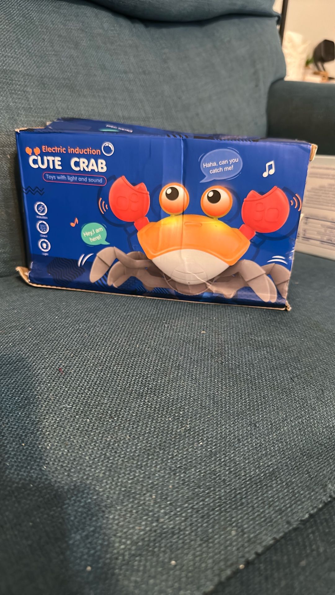Cute Moving Crab For Kids Toy