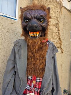 Pan Asian Creations LifeSize Standing Werewolf Halloween Prop Angelos And Vincis


See full video on the

Rudos Epic Props Youtube Channel