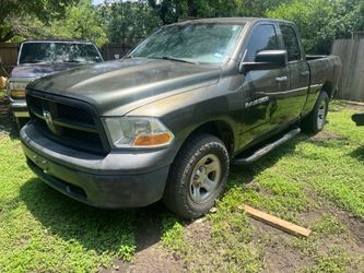 Ram