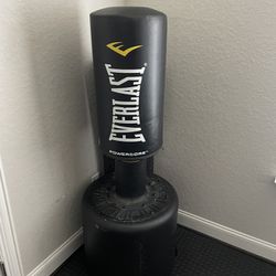 Punching Kicking Weighted Standing Bag