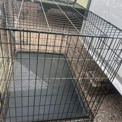 Large Dog Cage