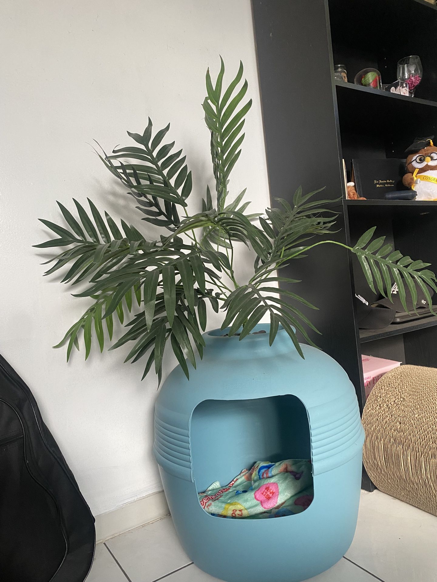 Plant Littler Box 