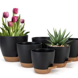 Self Watering Planters 
