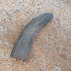 Vintage Buffalo 🐃 Horn