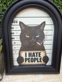 Funny cat picture