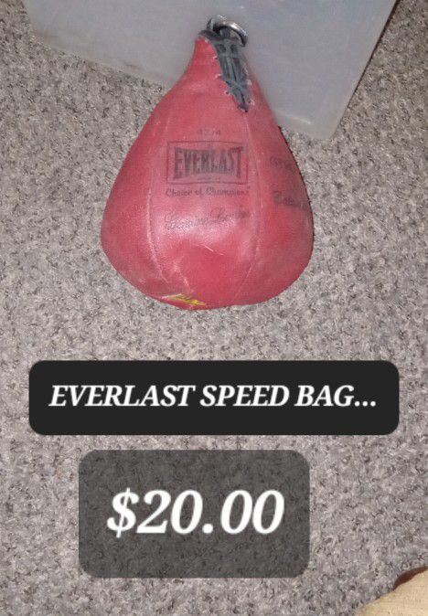 EVERLAST SPEED BAG