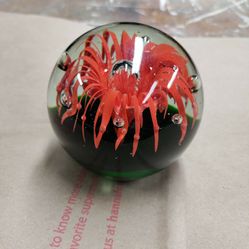 Paper Weight 