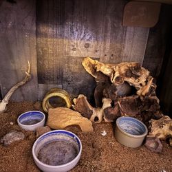 Reptile Enclosure 