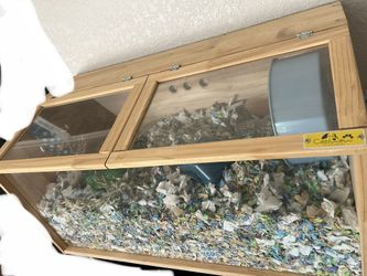 Hamster Cage And Supplies