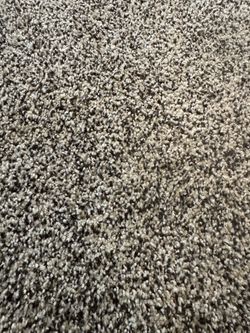 Shaw Nylon Carpet + Premium 8-Lb Memory Foam Pad – Approx. 191 Sq Ft Carpet