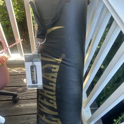 Everlast punching bag