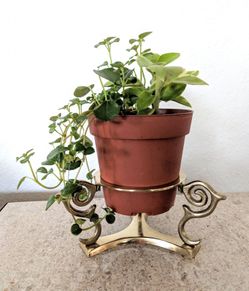 vintage mcm brass candle holder plant stand