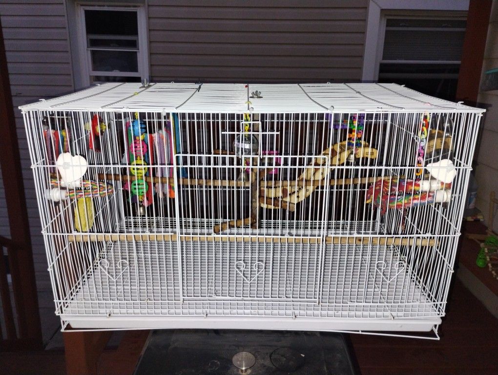 Bird Cage