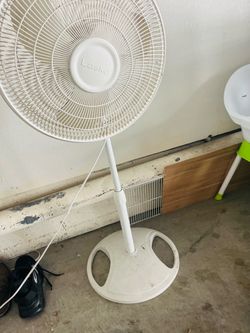 Fan
