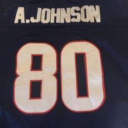 HOF Andre Johnson  Jersey. Houston Texans. women’s large.  $30