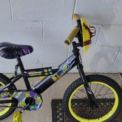Ninja Turtle Bike