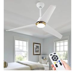 Ceiling Fan