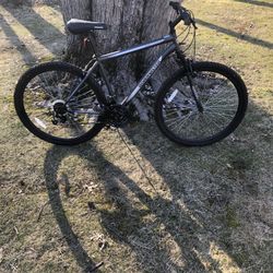 29” Mountain Bike 