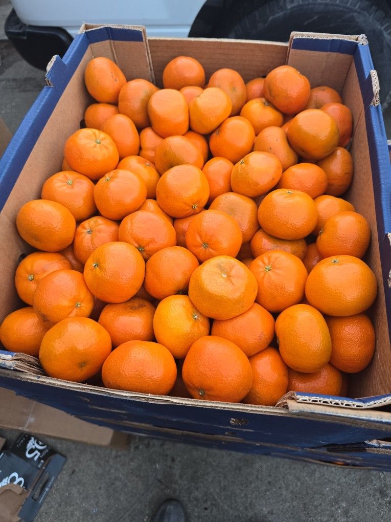 Mandarina Sin Cemilla La π¦ $20