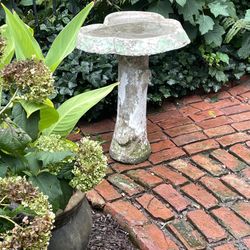 Bird Bath 