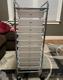 Organizer with wheels