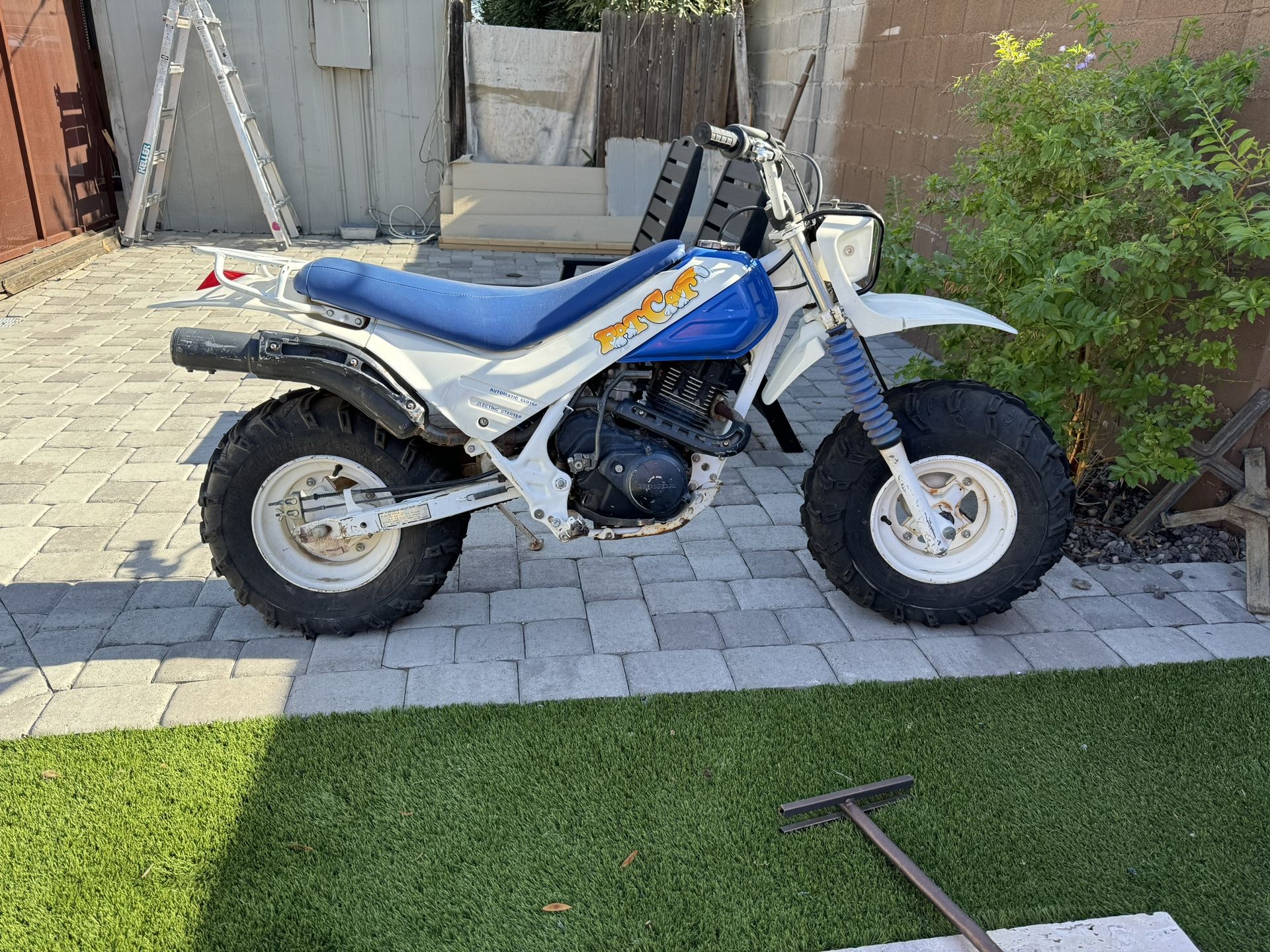 1986 Honda Fat Cat