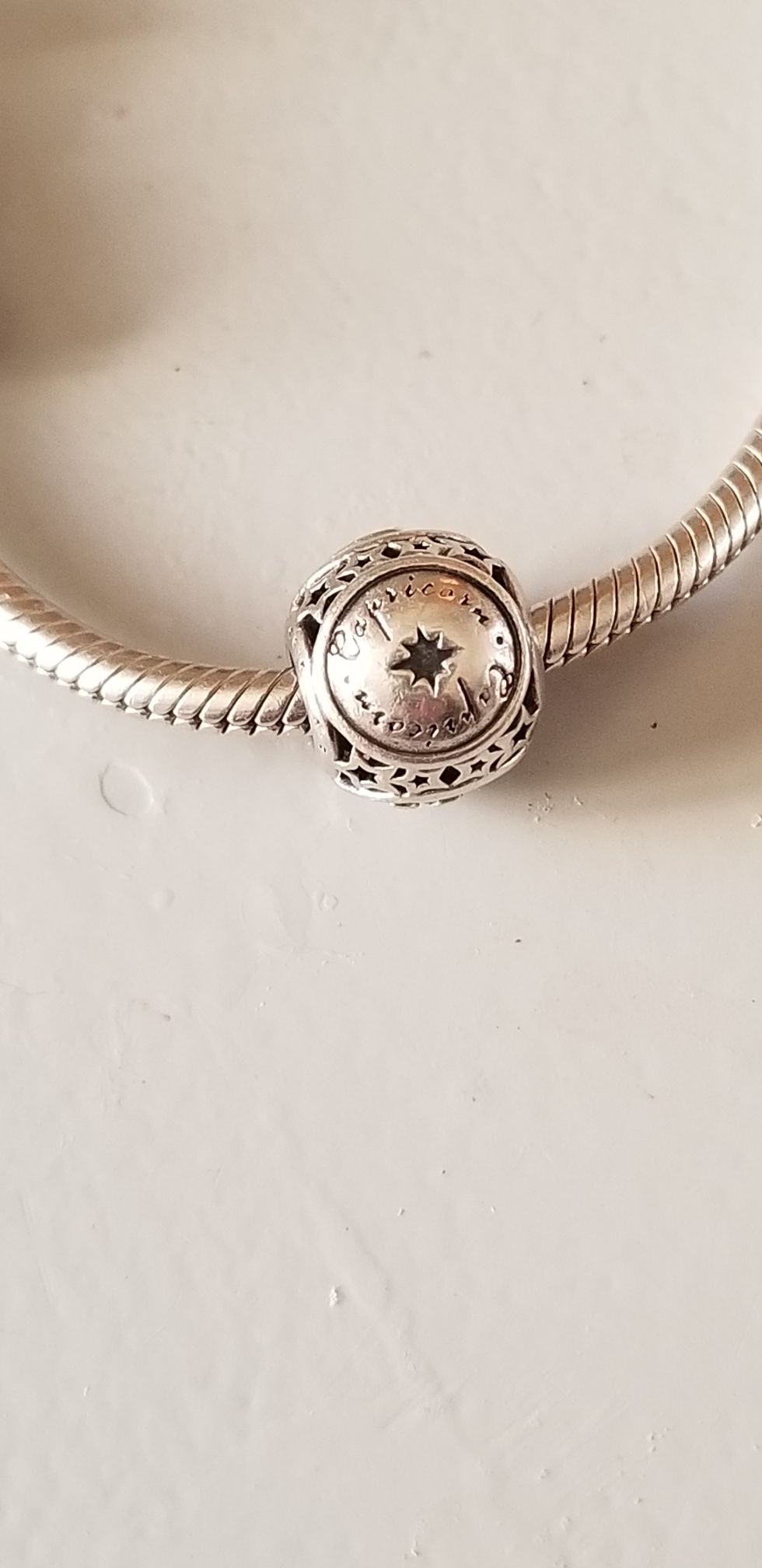 Pandora Charms