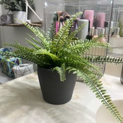 Faux Plant With Pot