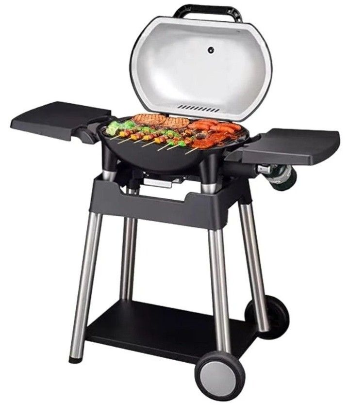LIQUID PROPANE GAS GRILLED