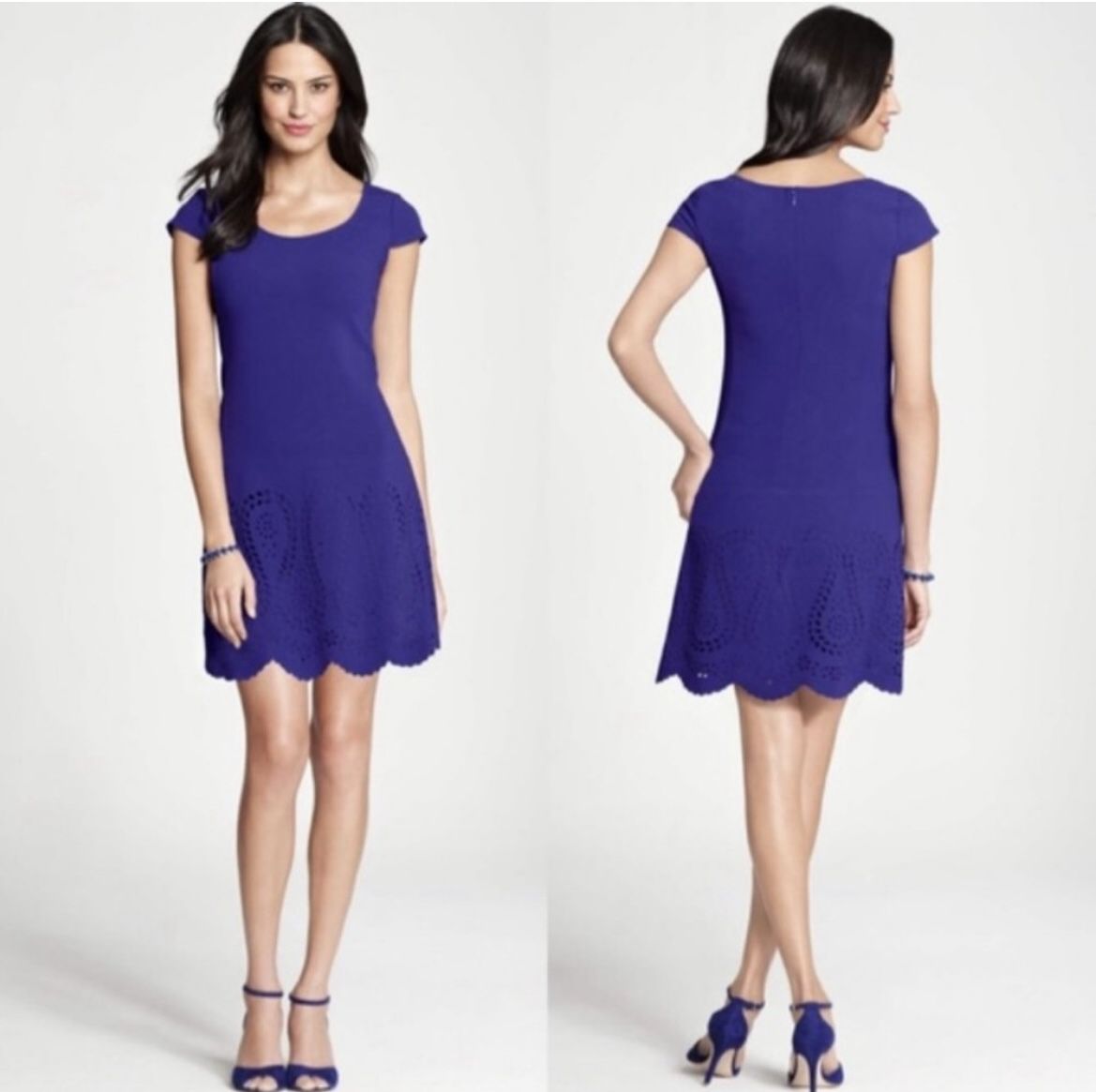 Ann Taylor Blue Laser Cut Dress - Size 8P