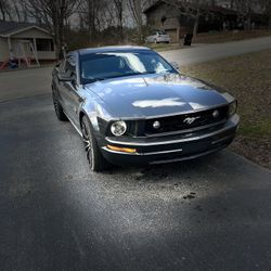 2009 Mustang 