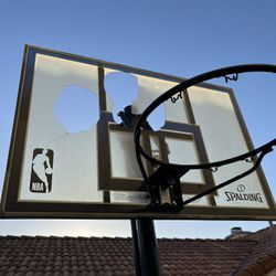 Free Basketball Hoop