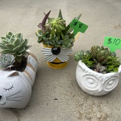 Teacher Appreciation Gifts 