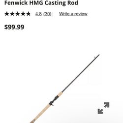 Fenwick HMG casting Rod 