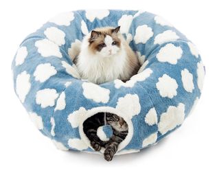 Cat tunnel