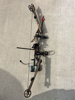 Compound Bow