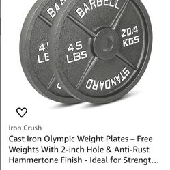 45lb Weight Plates Workout Equipment