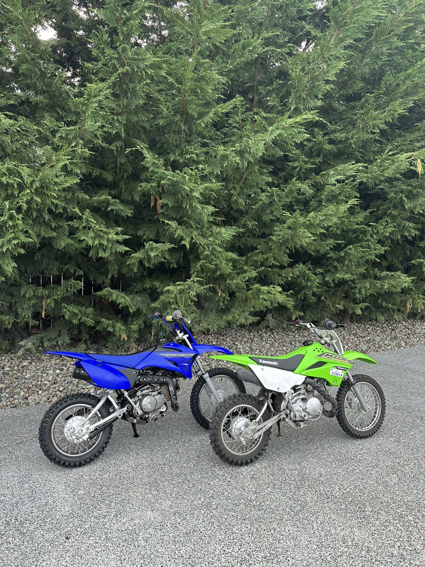 Kawasaki KLX110 And Yamaha TTR110