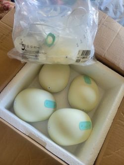 Willow Double Breast Pump